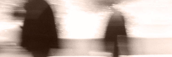 flouriesie's profile banner image
