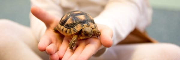 furzehamprimary Profile Banner