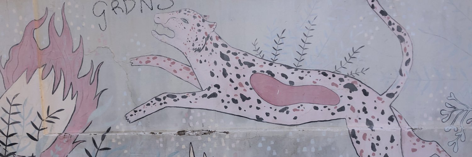 Mikaela Carmichael Zulaika banner