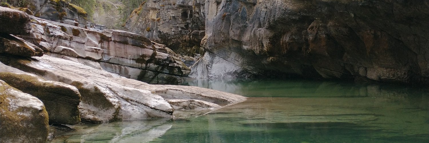 JennLong3's profile banner image