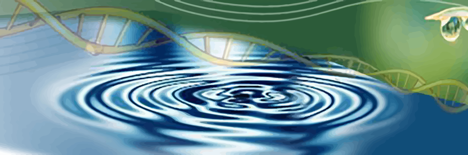 SoSoundSolution's profile banner image