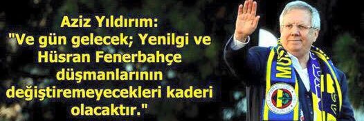 Safa Cavusoglu banner