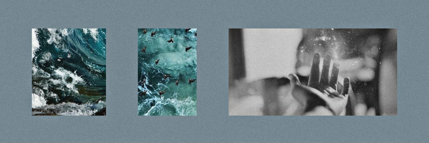 shi_t_eld's profile banner image
