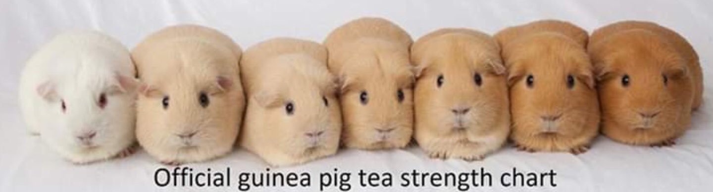 huffelbee's profile banner image