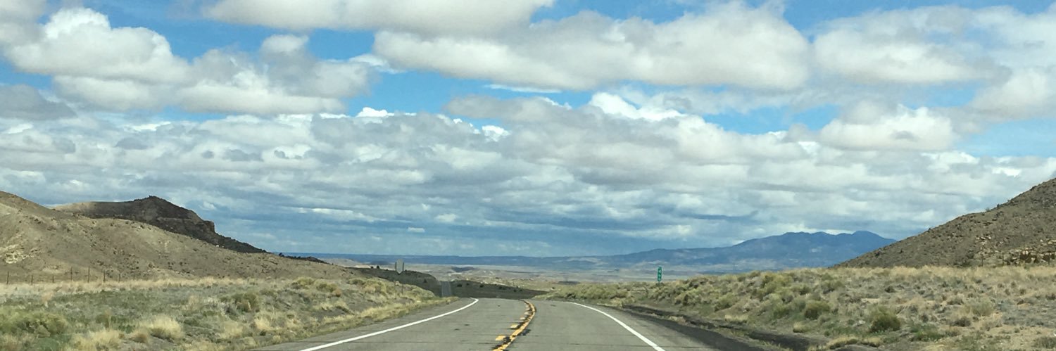 Traci Lepicki banner