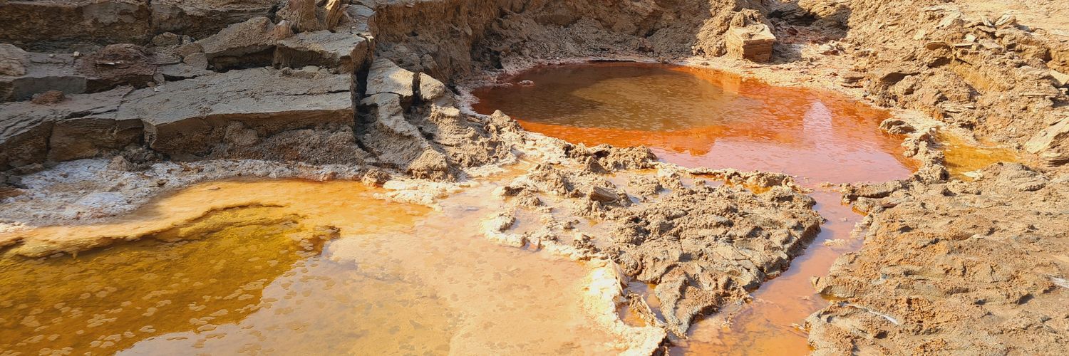 Alan Monziani banner