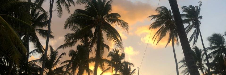 jmarmolejo4's profile banner image