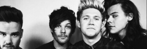 narryloover's profile banner image
