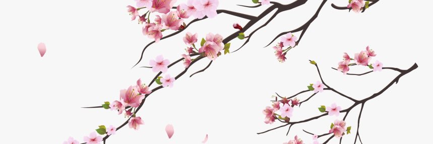 007Fatome's profile banner image