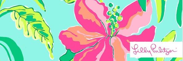 CandyceStout143's profile banner image