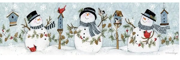 AllysonOtten Profile Banner