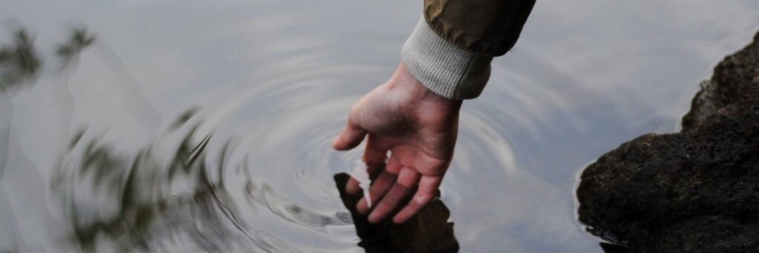 betül arabacı banner