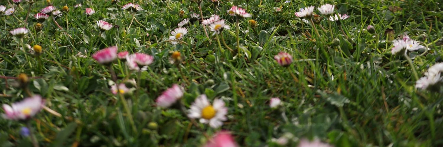 Miriam Basagaña i Farrés banner