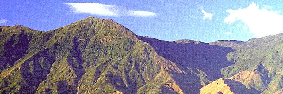 Guillermo Fariñas C. banner