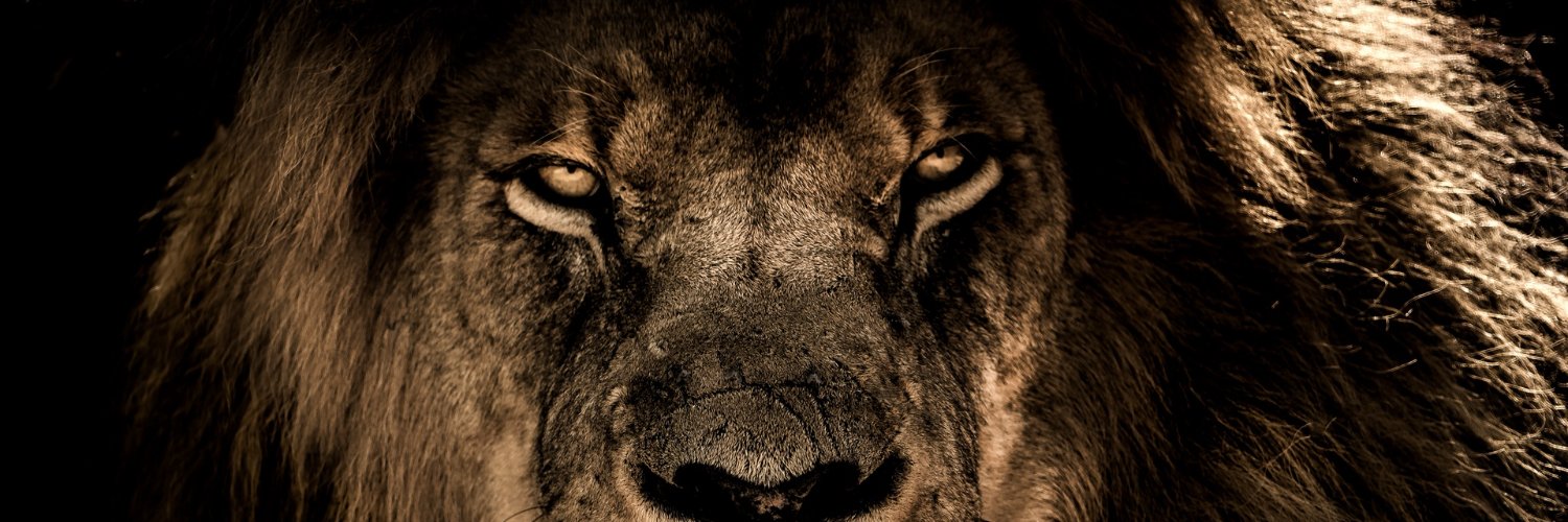 hboy_dgaf's profile banner image