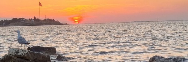 Nazlim_035 Profile Banner