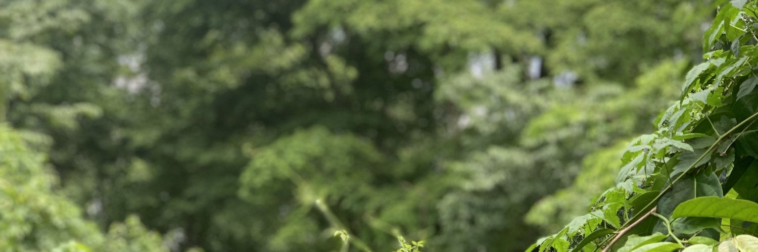 TheRealBless1's profile banner image