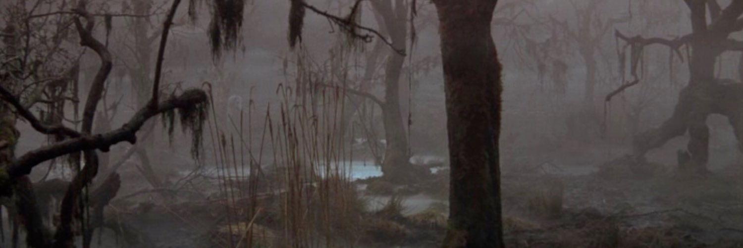 MorlaSwamp55's profile banner image