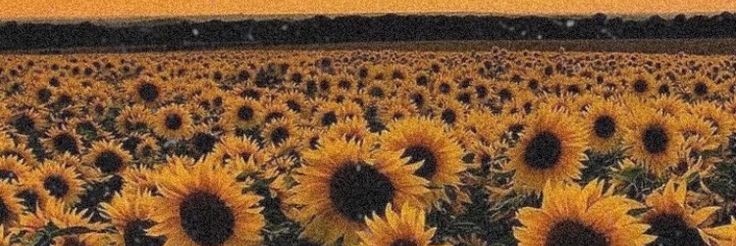 chonch banner