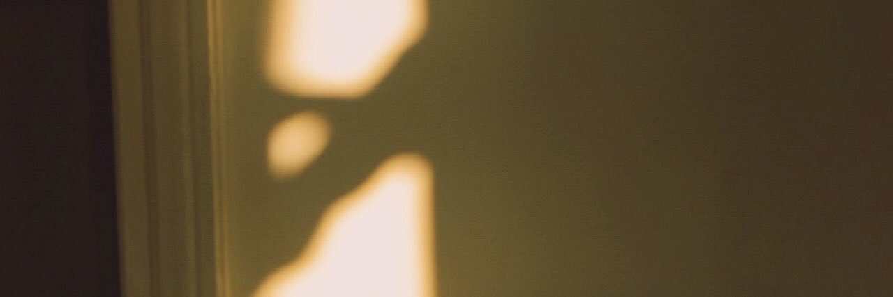 feddelara's profile banner image