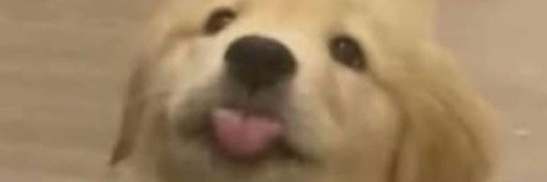 KarlaMarn5's profile banner image