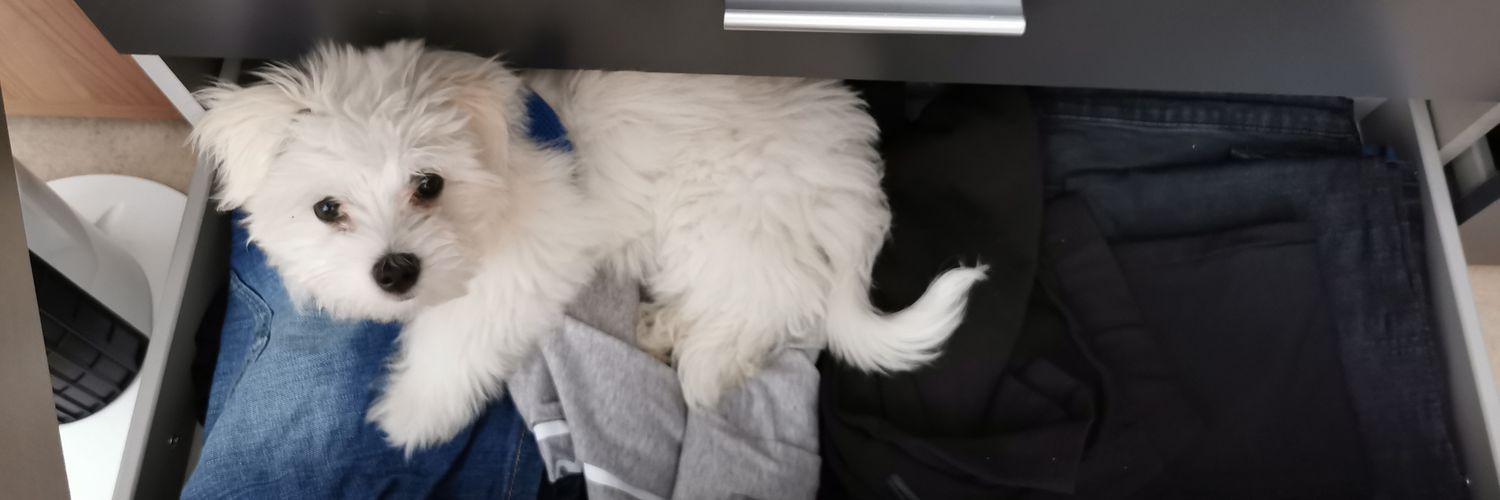 BigBossBaem's profile banner image