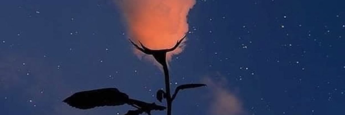 Coldstateofmind's profile banner image