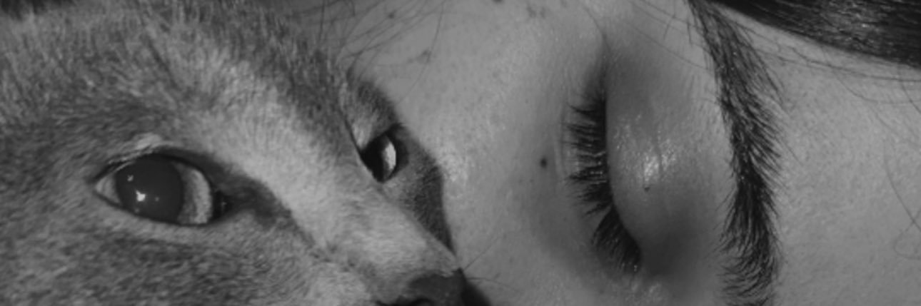juleee28_'s profile banner image