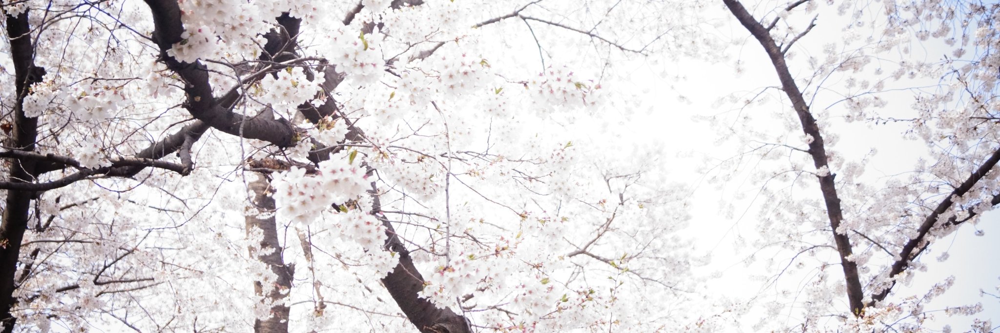 *환영공방* (A/S 및 문의는 DM) banner