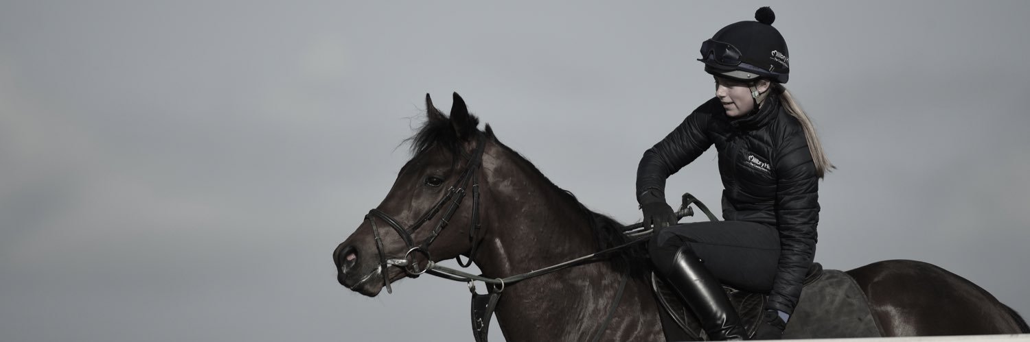 HannMarley's profile banner image