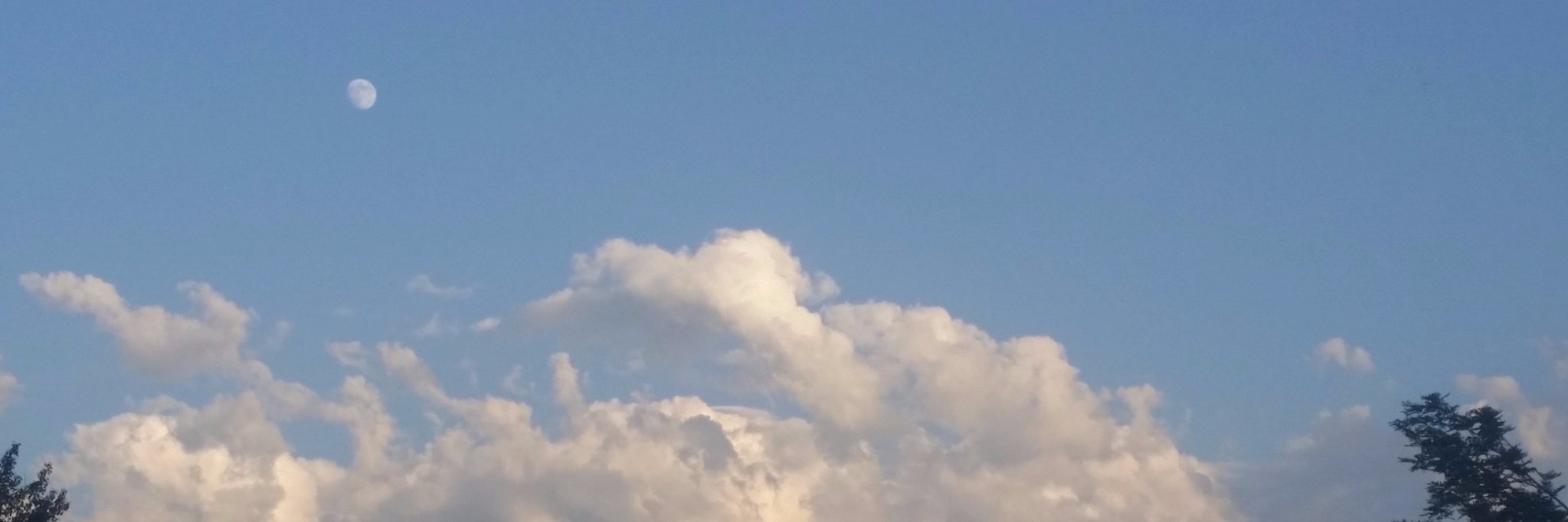 mhaislnut's profile banner image