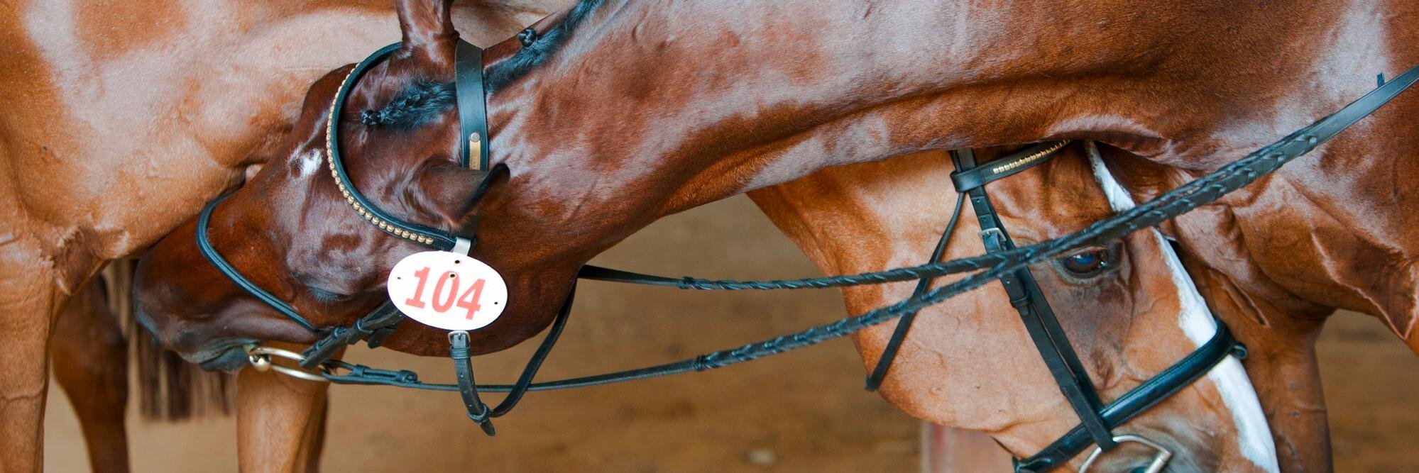 eventingnews's profile banner image