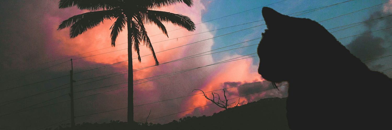 Sir__Yan's profile banner image