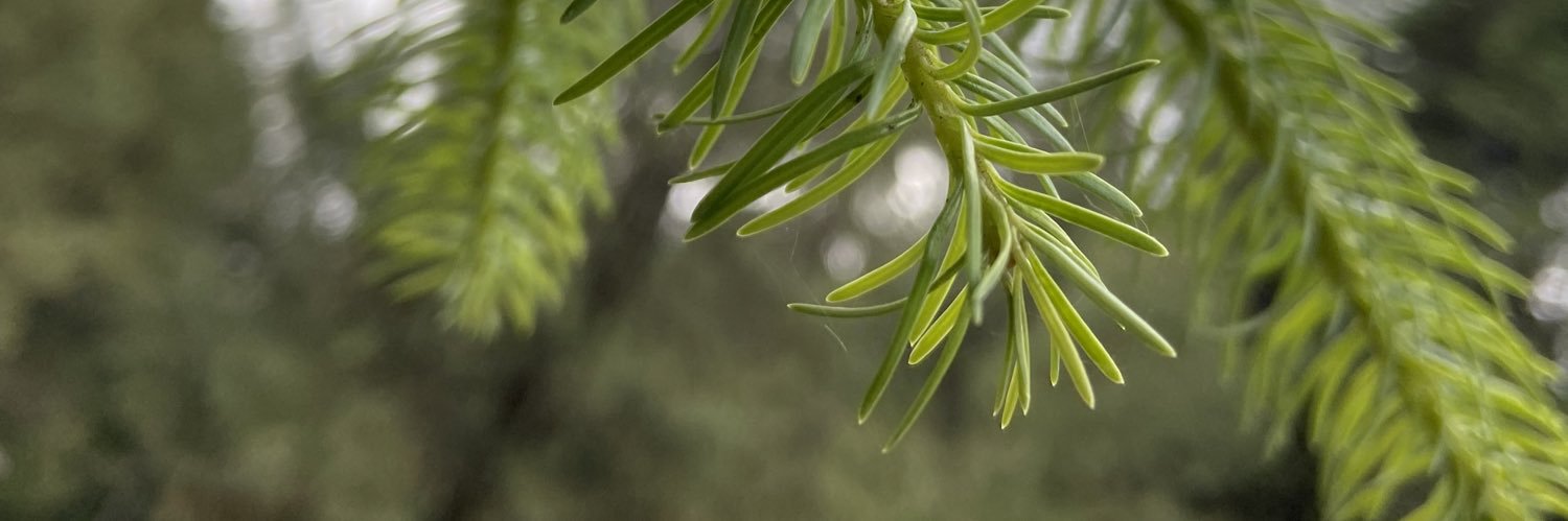 Daniel Barragán| @danielbarragan.bsky.social banner