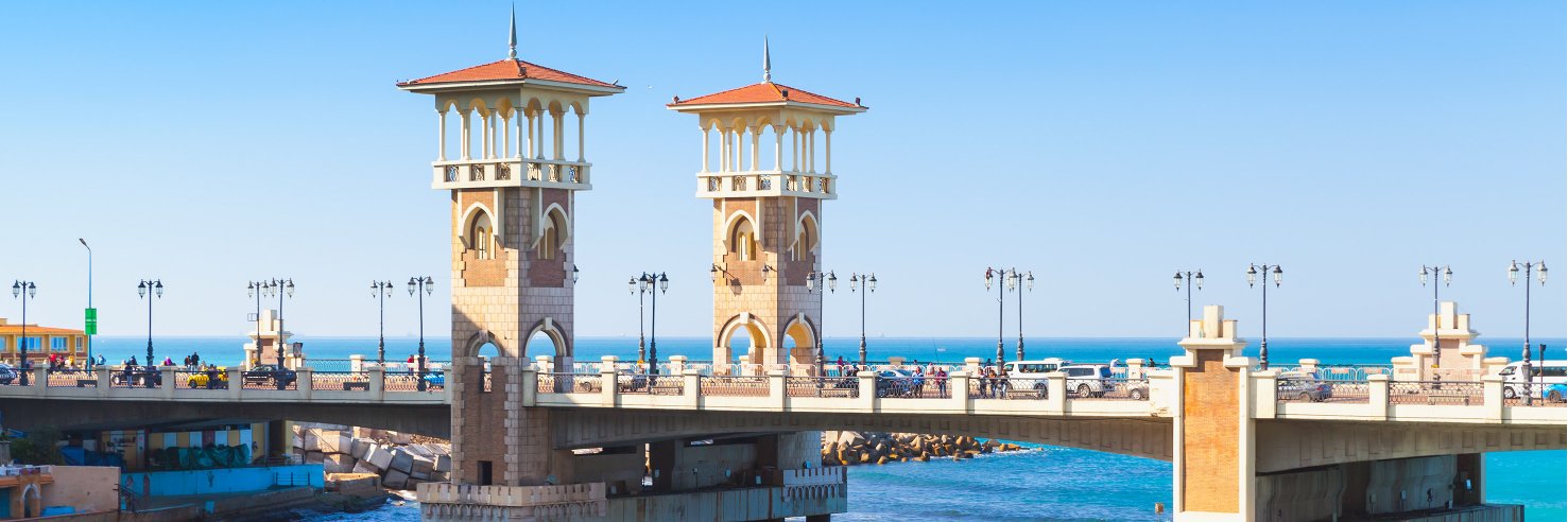 Raneem Haddara banner