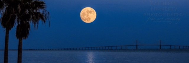 Donna Olson banner