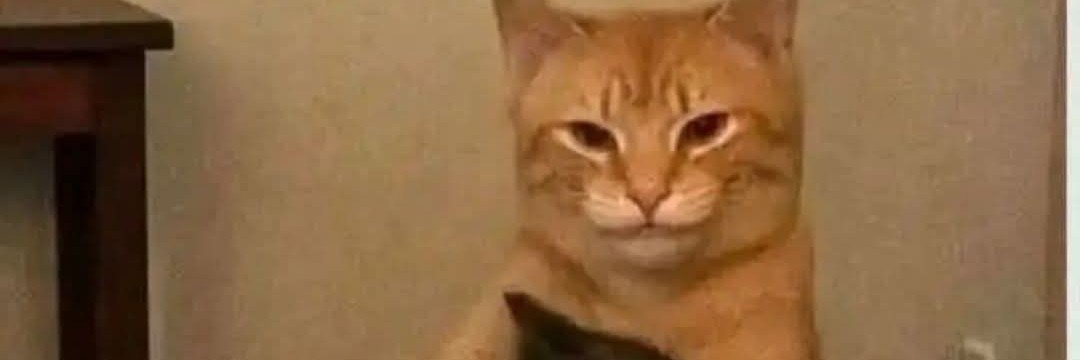 shikned's profile banner image