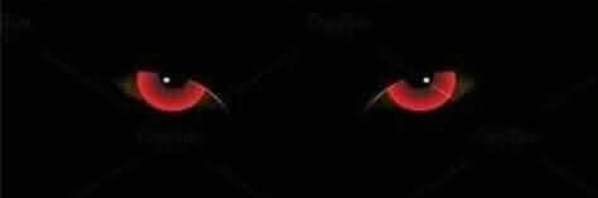 Gerardo Aleman Sullivan 🐅😈☠️🤟🏻🇺🇦 banner