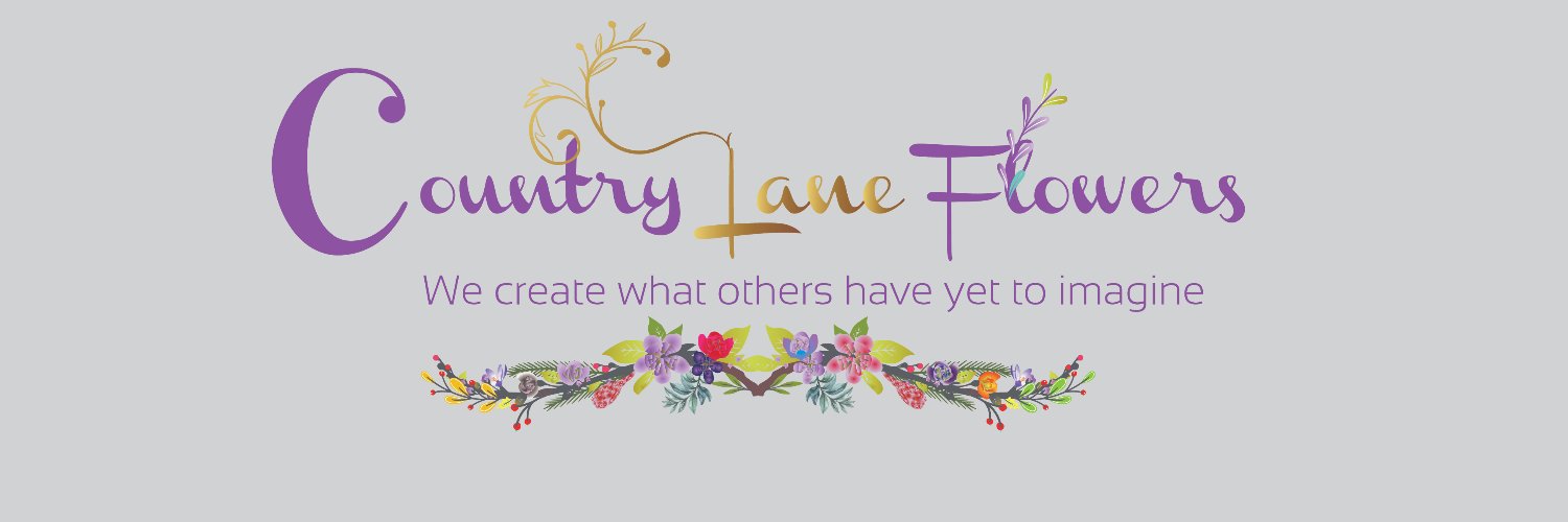 Countrylanef's profile banner image
