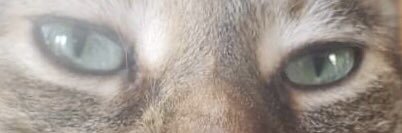 _ericplace's profile banner image