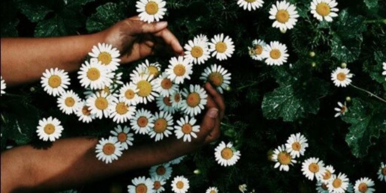 larissssssssaaa's profile banner image