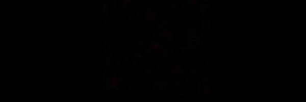 sinanantoon Profile Banner