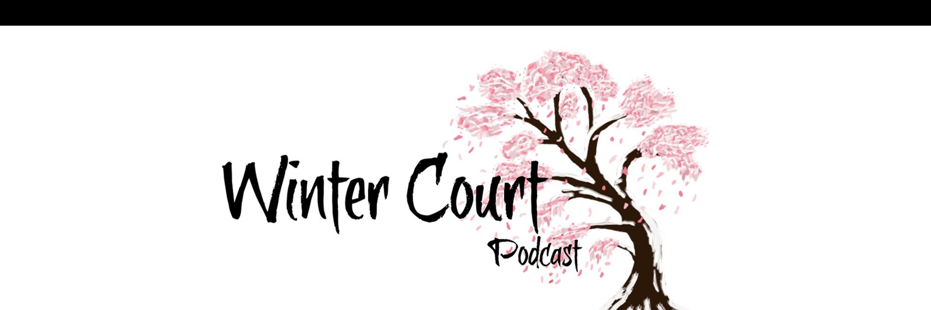 wintercourtcast's profile banner image