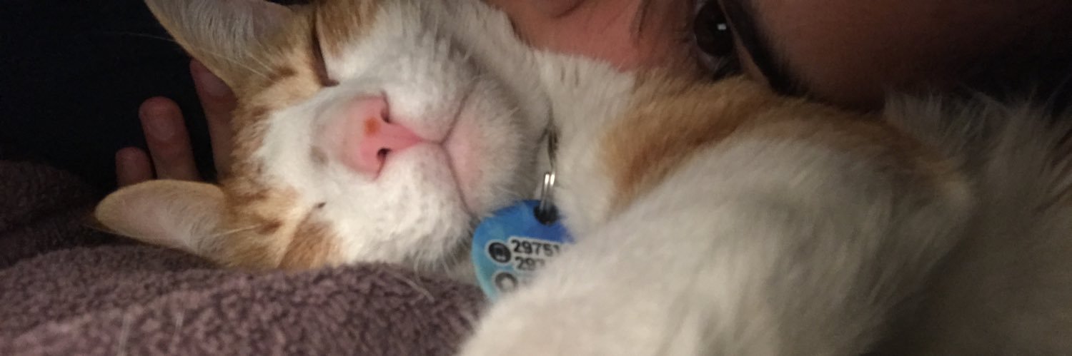 nu banner