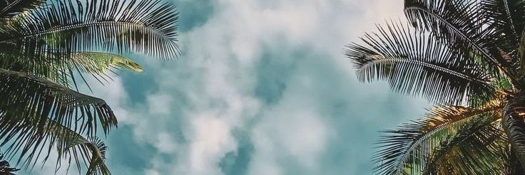 willz_21g's profile banner image