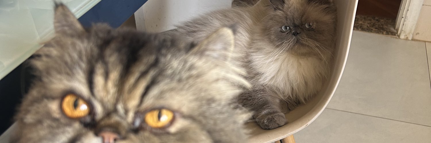 Marquez com z banner