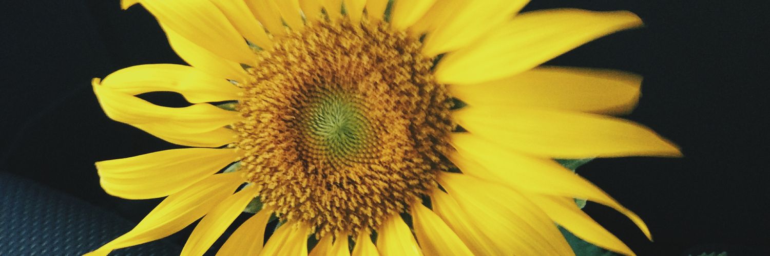 cmlaecyoj's profile banner image