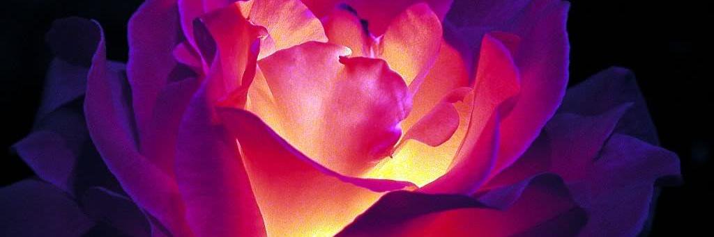 IreneSchrils's profile banner image
