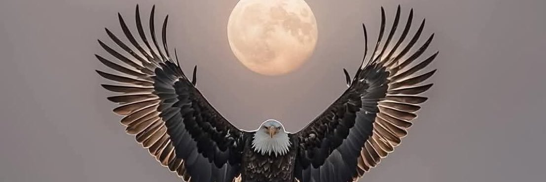 tmrdlmn's profile banner image