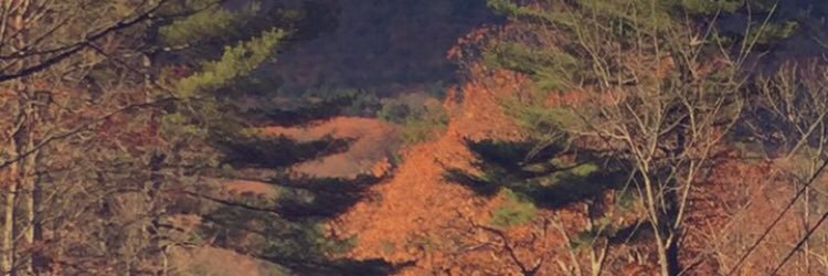 AsH4335's profile banner image